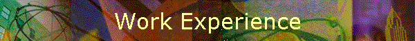 Work Experience