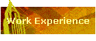 Work Experience