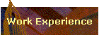 Work Experience